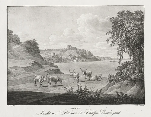 Syrmien, Markt und Ruinen des Schlosses Sharengrad by Jakob Alt, print