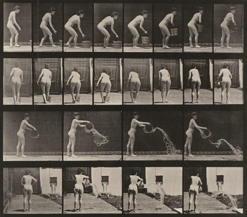 Plate Number 401. Emptying a bucket of water by Eadweard Muybridge, photograph, 1887