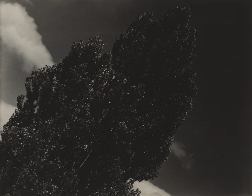 Equivalent by Alfred Stieglitz, photograph, 1927