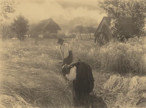 Early Morn by Alfred Stieglitz, photograph, 1894