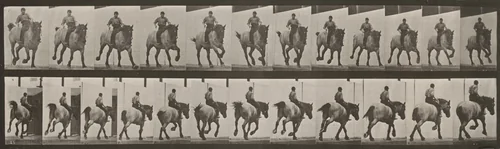 Plate Number 629. "Hansel" galloping, bareback by Eadweard Muybridge, photograph, 1887