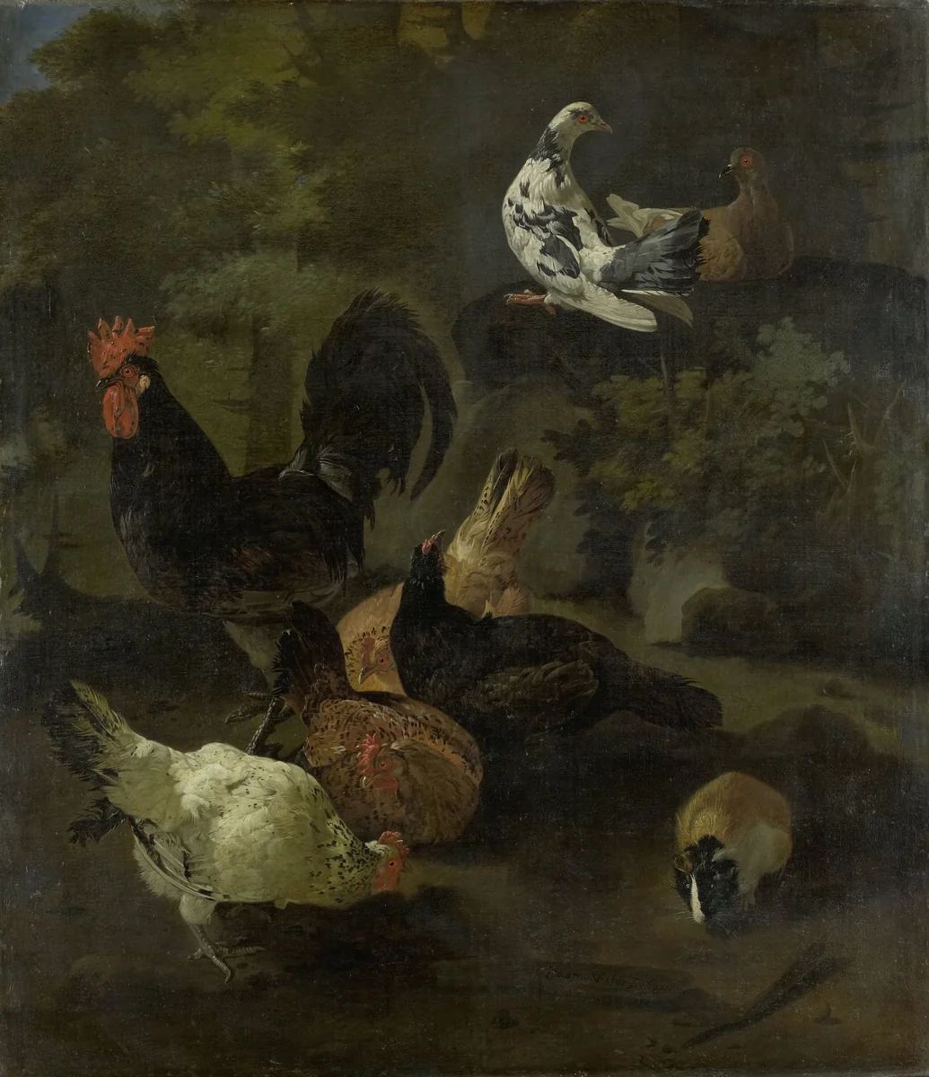 A Cock, Hens, Doves, and a Marmot by Jacomo Victors, painting, 1672