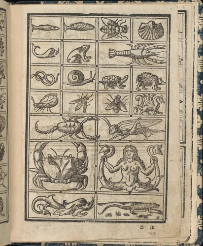 Essempio di recammi, page 11 (recto) by Giovanni Antonio Tagliente, book, 1530