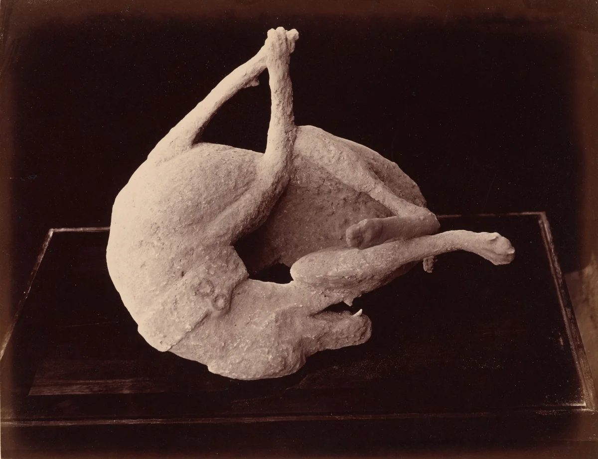 Impronte, Pompei (Cast, Pompeii) by Giorgio Sommer, photograph, 1865-1875