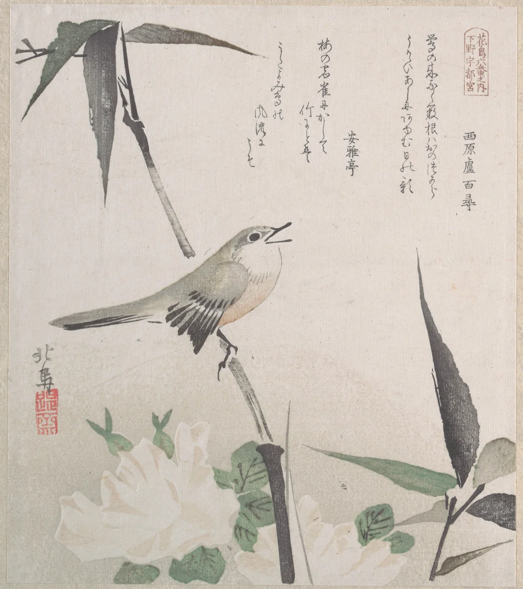 Roses and Bamboo with Nightingale by Teisai Hokuba (蹄斎北馬), print, 1800-1899