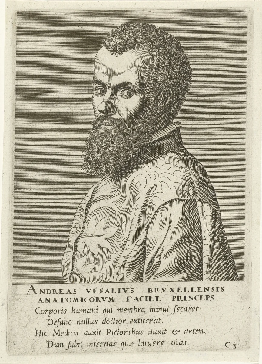 Portret van Andreas Vesalius by Philips Galle, print, 1572