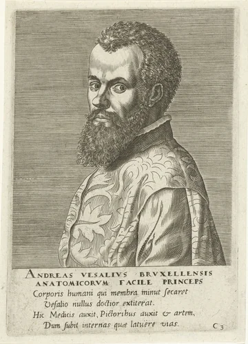 Portret van Andreas Vesalius by Philips Galle, print, 1572
