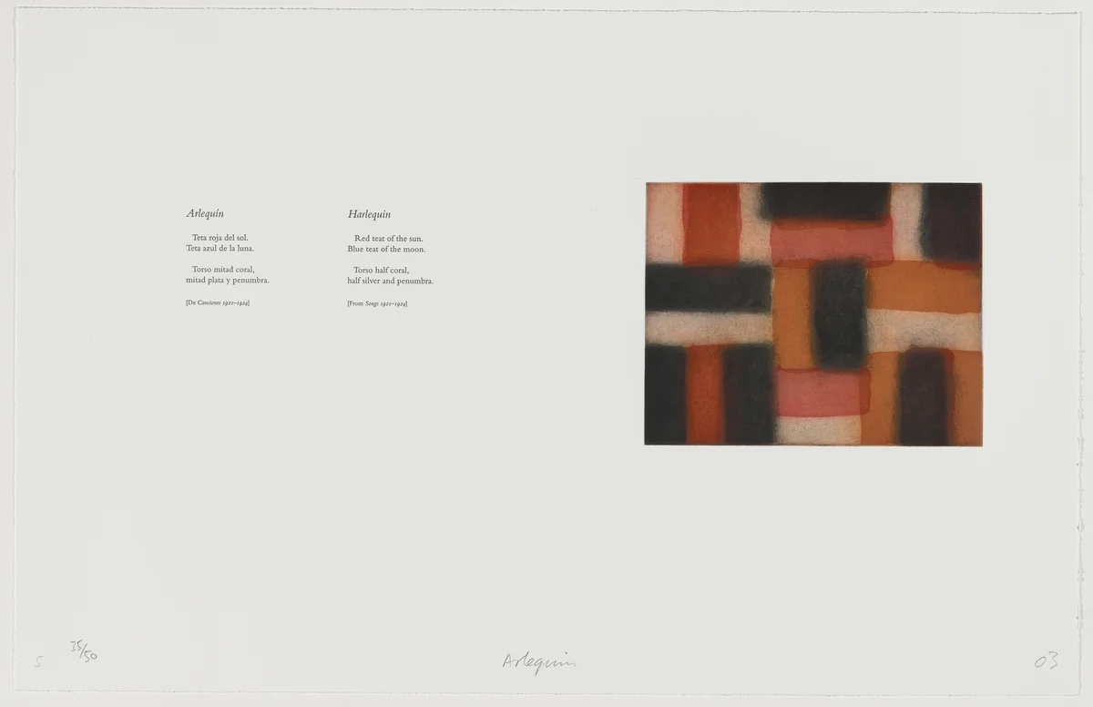 Arlequín [Harlequin] by Sean Scully, portfolio, 2003