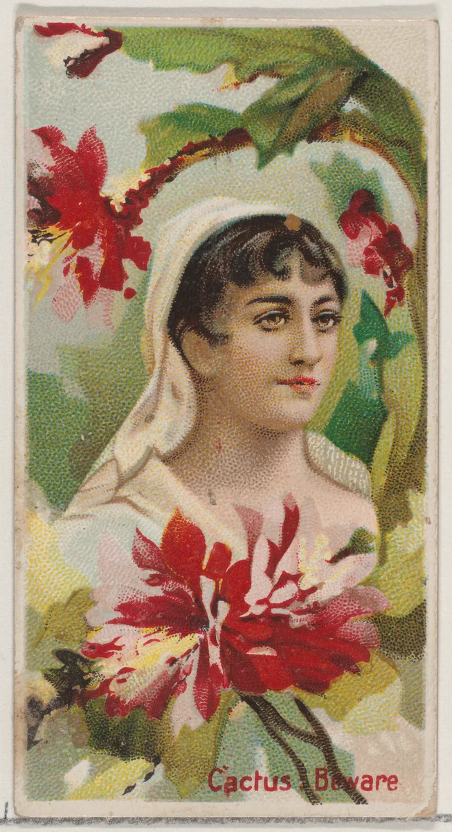 Cactus: Beware, from the series Floral Beauties and Language of Flowers (N75) for Duke brand cigarettes by American Tobacco Company, print, 1892