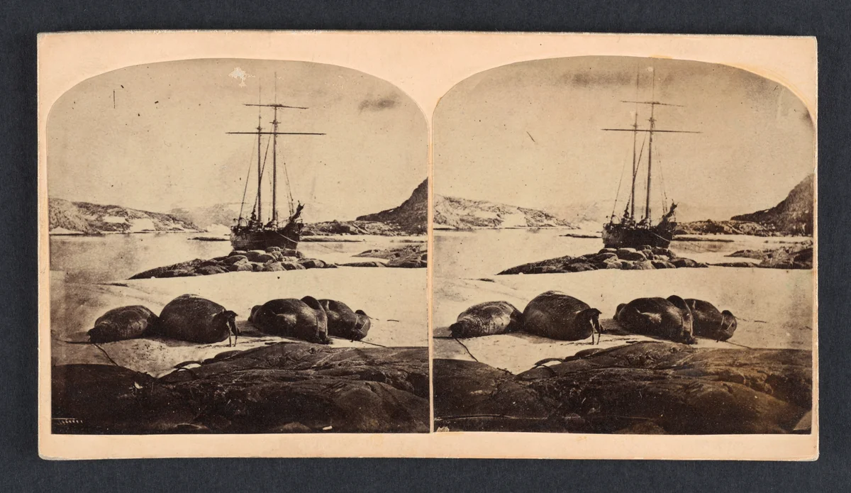 Scène de la mer glacial by Isaac Israel Hayes, photograph, 1857-1861