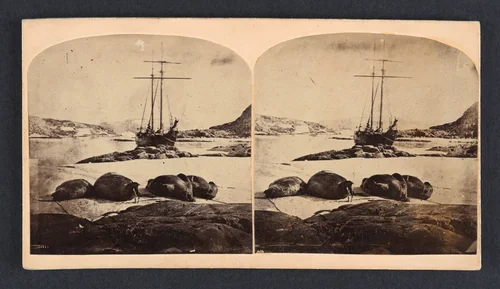 Scène de la mer glacial by Isaac Israel Hayes, photograph, 1857-1861