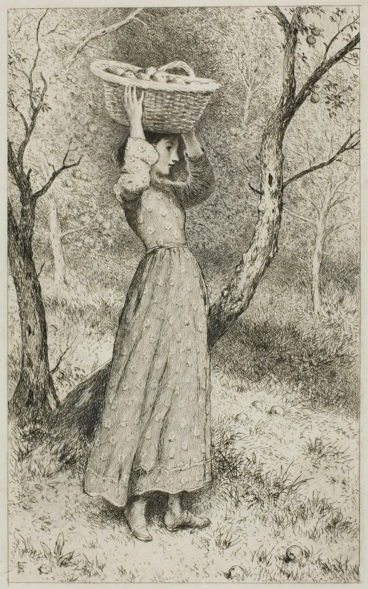 Young Girl in an Orchard with a Basket of Fruit by Miles Birket Foster, print, 1850