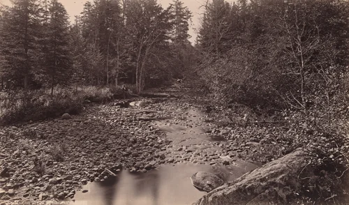 Marion River at Bassett's Camp by Seneca Ray Stoddard, photograph, 1880-1890