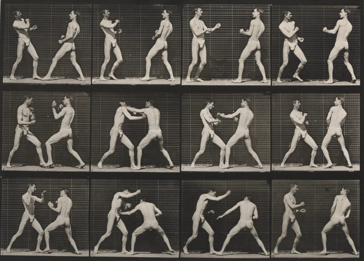 Plate Number 338. Boxing, open hand by Eadweard Muybridge, photograph, 1887
