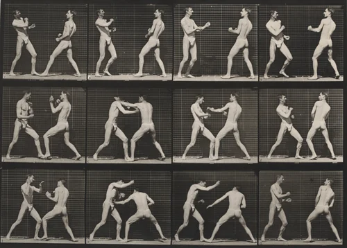 Plate Number 338. Boxing, open hand by Eadweard Muybridge, photograph, 1887