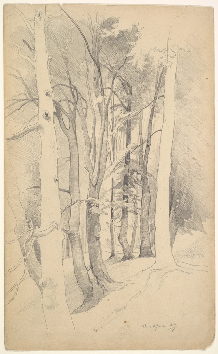 Trees near Diessen by Carl Maria Nicolaus Hummel, drawing, 1841-1907