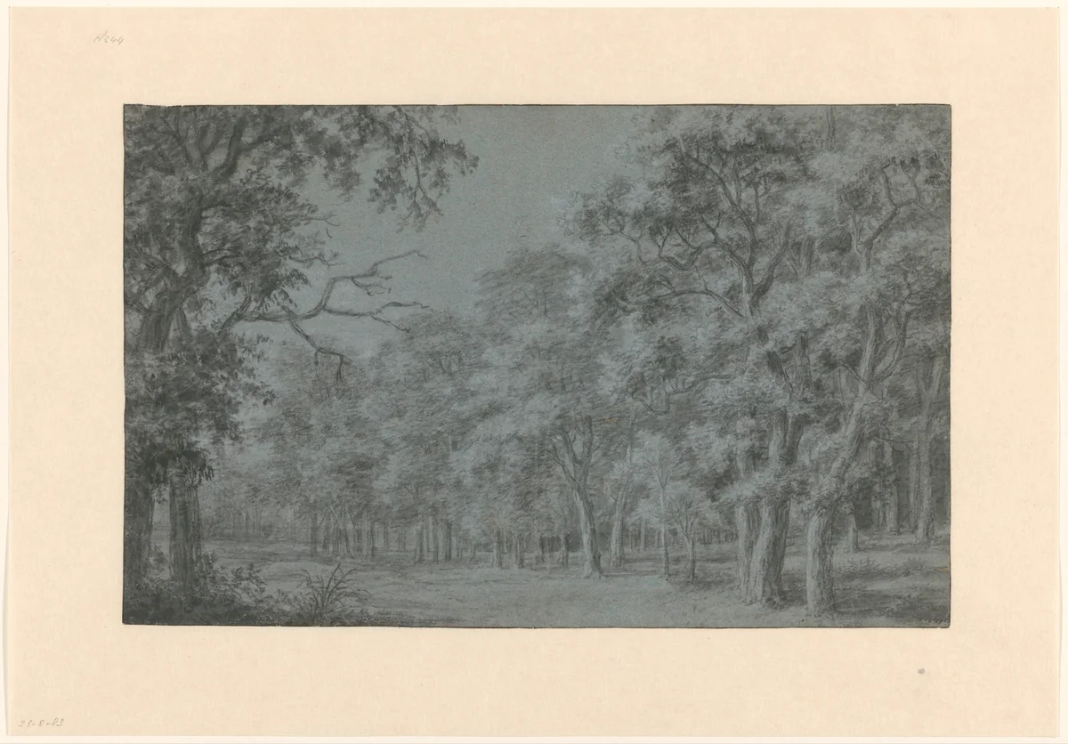 Bosgezicht by Joris van der Haagen, drawing, 1625-1669