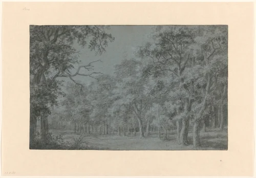 Bosgezicht by Joris van der Haagen, drawing, 1625-1669