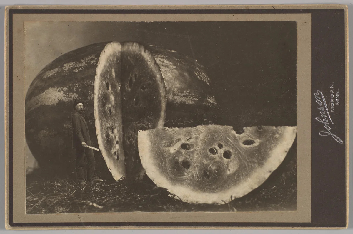 [Man Cutting Watermelon] by Johnson, photograph, 1898-1903