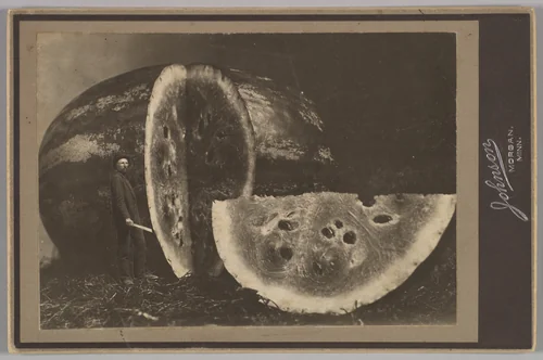 [Man Cutting Watermelon] by Johnson, photograph, 1898-1903