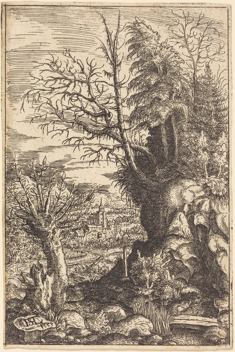 Landscape with a Willow by Hanns Lautensack, print, 1553