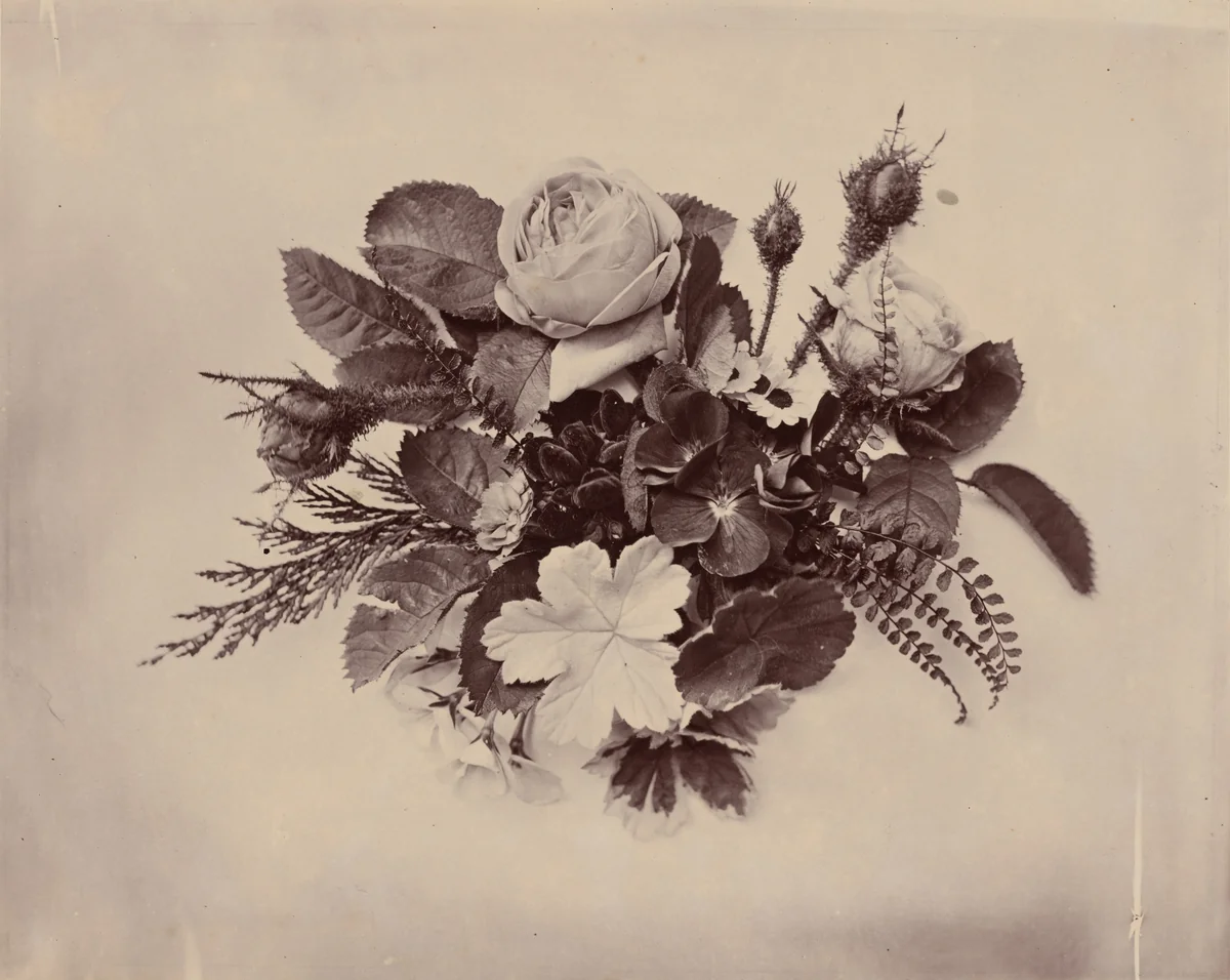 Flowers by Reverend David Thomas Kerr Drummond, photograph, 1855-1865