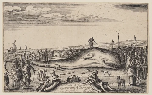 Beached Sperm Whale at Noordwijk by Esaias van de Velde, print, 1614
