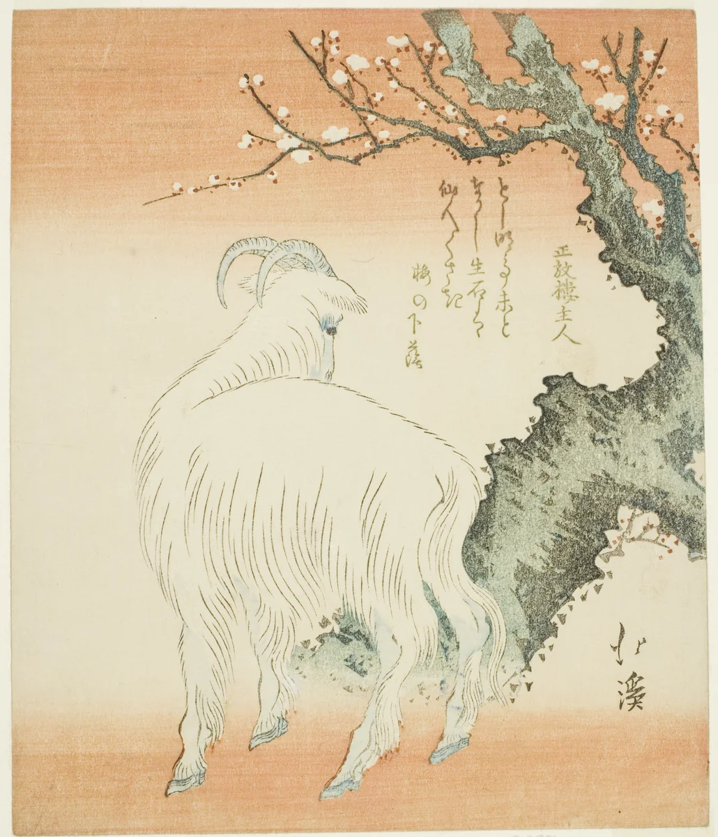 Goat beneath a plum tree by Totoya Hokkei (魚屋北渓), print, 1780-1850