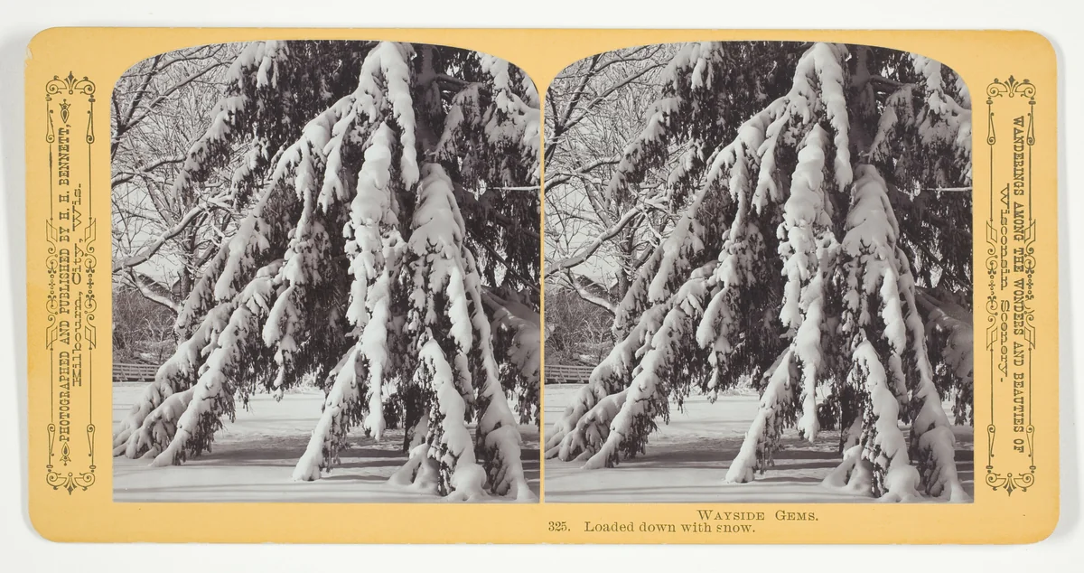 Loaded down with snow, No. 325 from the series "Wayside Gems" by Henry Hamilton Bennett, photograph, 1870-1889