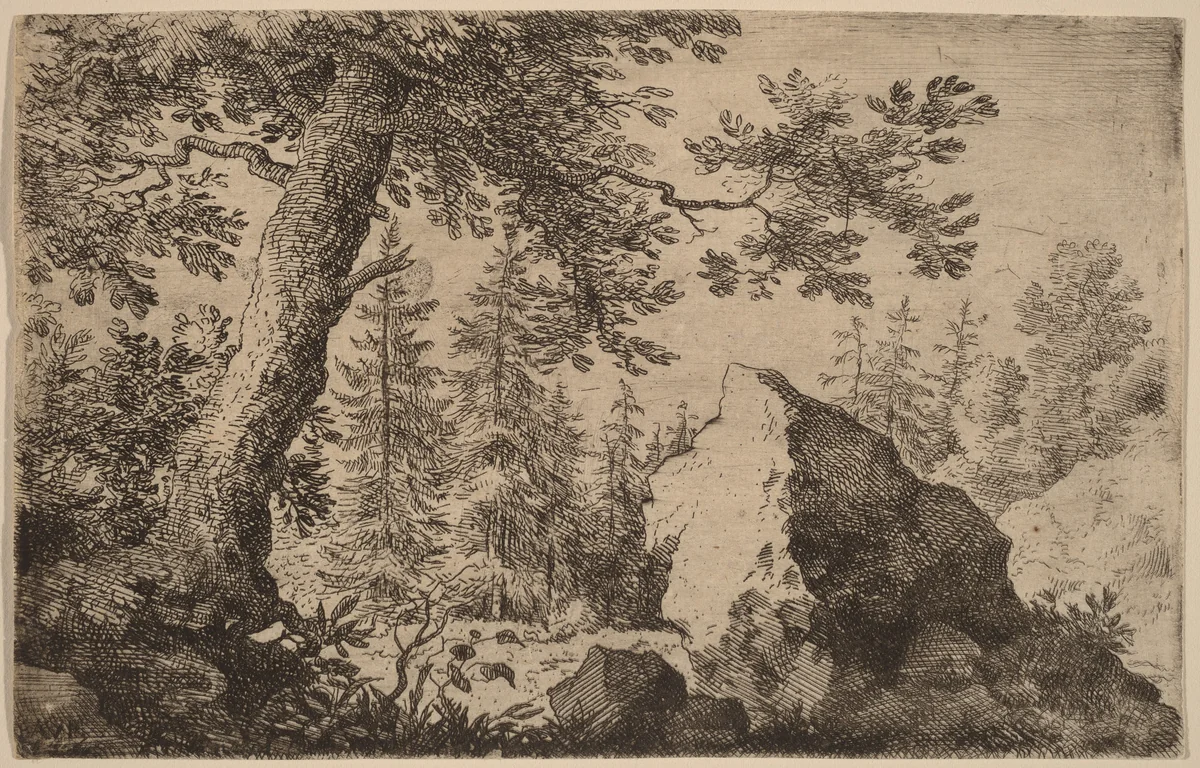 Boulder in the Woods by Allart van Everdingen, print, 1645-1656