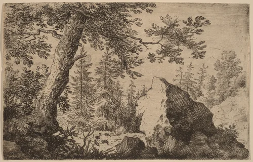 Boulder in the Woods by Allart van Everdingen, print, 1645-1656