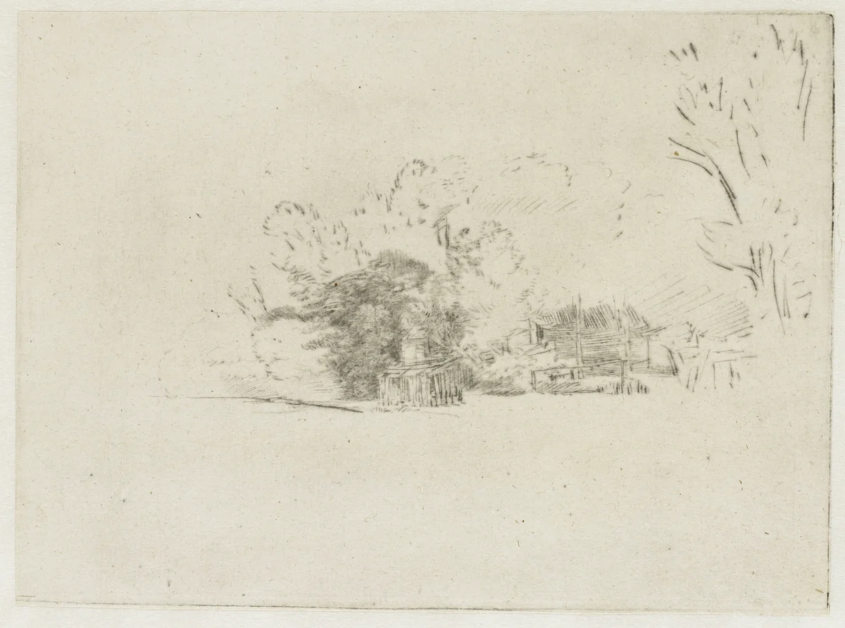 Clump of trees with a vista by Rembrandt van Rijn, print, 1652