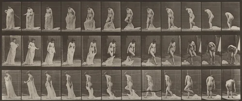 Plate Number 430. Toilet; taking off clothes by Eadweard Muybridge, photograph, 1887