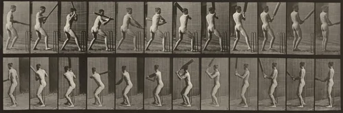 Plate Number 292. Cricket, batting and back cut by Eadweard Muybridge, photograph, 1887