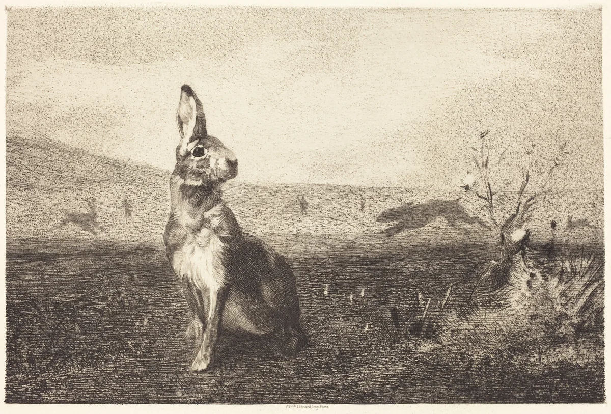 The Hare (Le Lièvre) by Félix Bracquemond; Albert de Balleroy; François Liénard, print, 1865