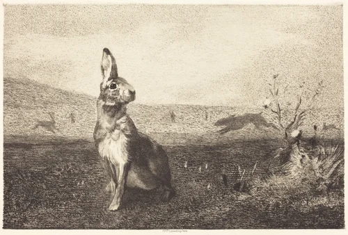 The Hare (Le Lièvre) by Félix Bracquemond; Albert de Balleroy; François Liénard, print, 1865