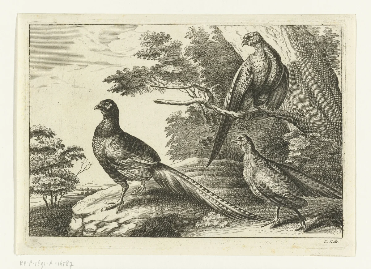 Drie fazanten by Peter van Liesebetten, print, 1654-1678