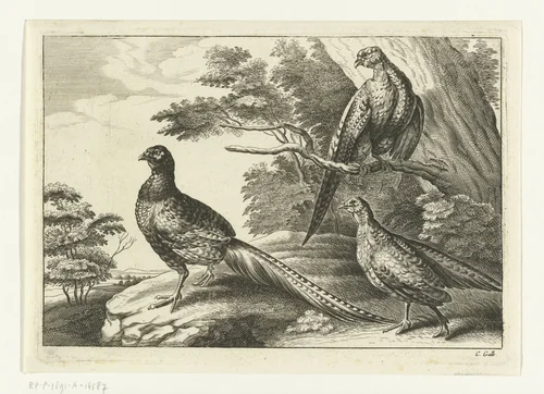 Drie fazanten by Peter van Liesebetten, print, 1654-1678