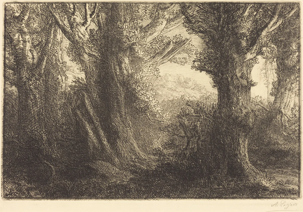 In the Forest of Conteville (Dans la foret de Conteville) by Alphonse Legros, print, 1837-1911