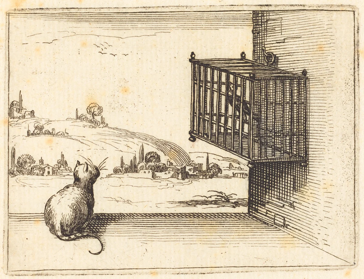 Cat Watching Caged Bird by Jacques Callot, print, 1628