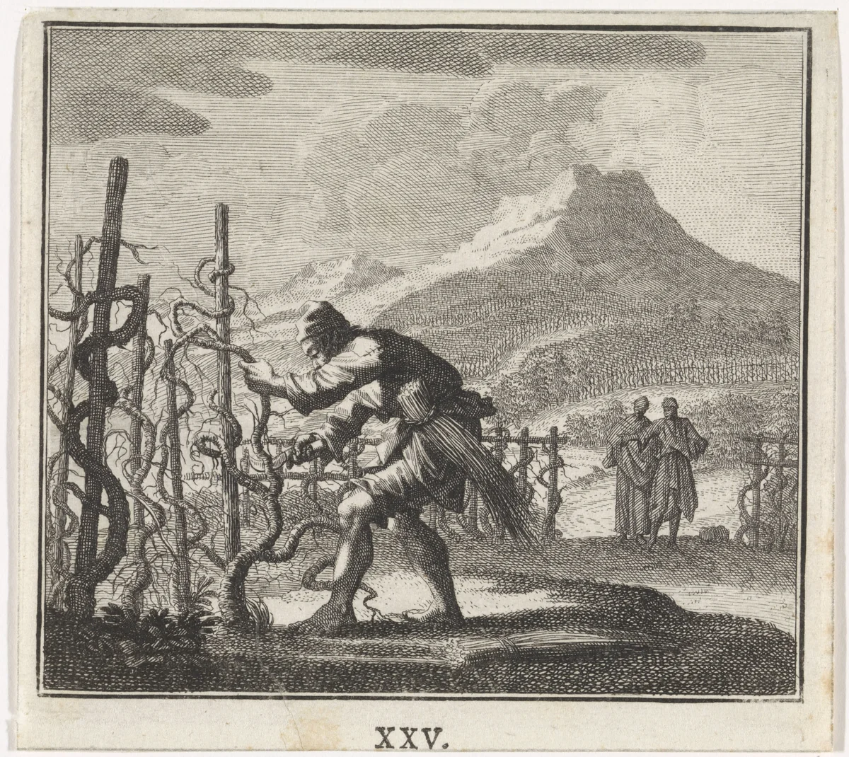 Embleem: wijnstok by Caspar Luyken, print, 1700