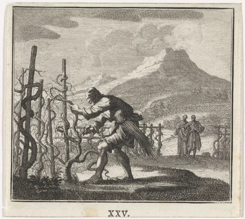 Embleem: wijnstok by Caspar Luyken, print, 1700