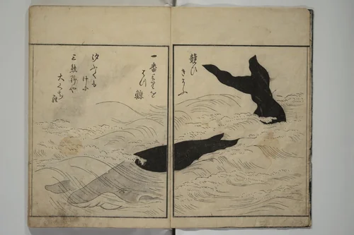 The Servants of the Dragon King of the Sea: Fish and Shells (Tatsu no miyatsuko gyokai fu) 龍の宮津子魚貝譜 by Kuwagata Keisai (鍬形蕙斎), book, 1802