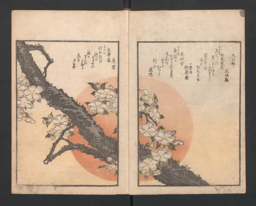 One Hundred Comic Poems of the Flower, One of the Three Friends, Tsuki, the Moon, Yuki, the Snow, and Hana, the Flower (Sansai hana hyakushu) 三才花百首 by Totoya Hokkei (魚屋北渓), book, 1828-1830