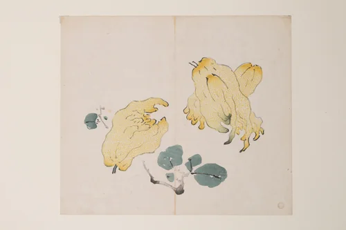 Page from the Ten Bamboo Studio Manual of Painting and Calligraphy by Hu Zhengyan, print, 1633