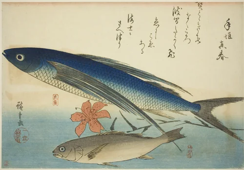 Flying fish and Ichimochi, from an untitled series of fish by Utagawa Hiroshige (歌川広重), print, 1835-1847