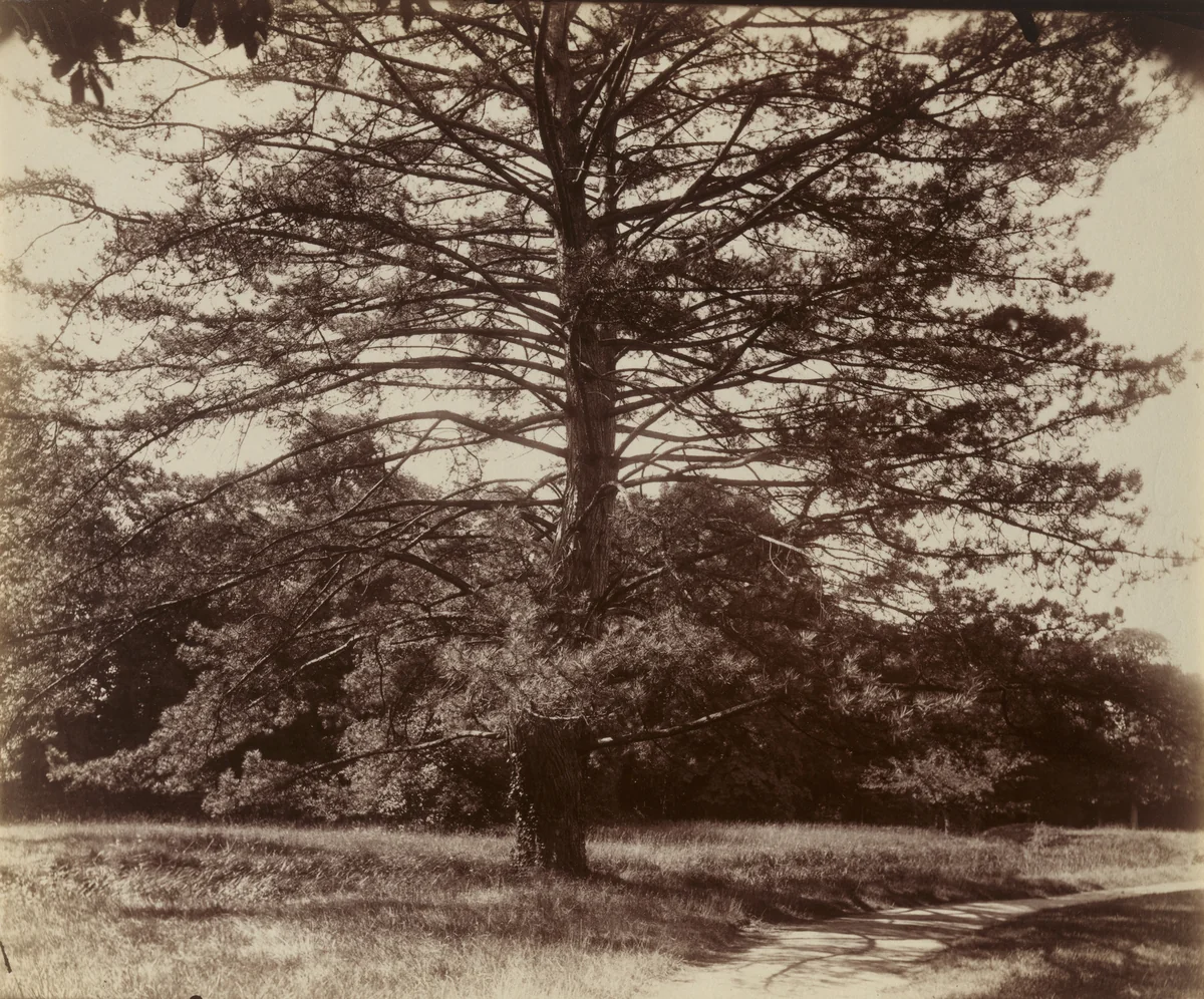Trianon by Eugène Atget, photograph, 1922