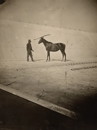Detail of the Track at Leland Stanford's Horse Farm in Palo Alto by Eadweard Muybridge, photograph, 1878-1879