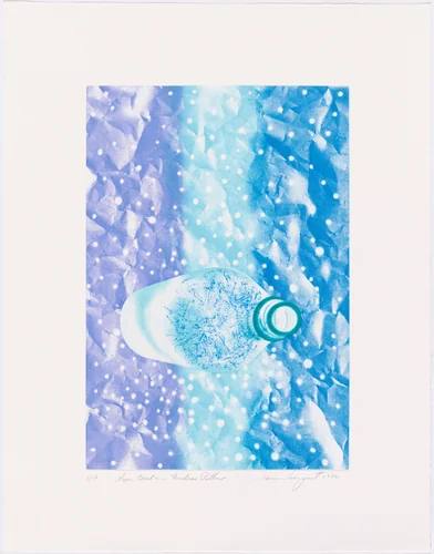 Paper Head on a Nuclear Pillow by James Rosenquist
Doris Simmelink
Sarah Todd
Gemini G.E.L., print, 1982