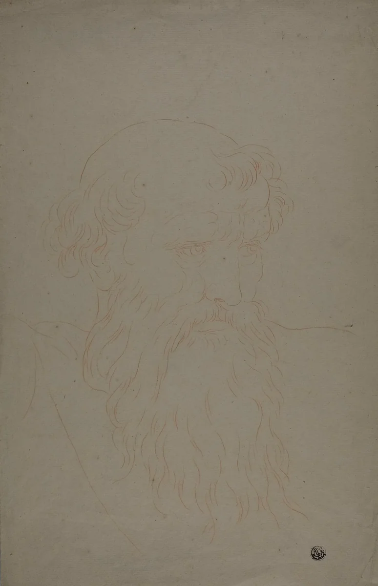 Head of a Bearded Man by Raffaello Sanzio, drawing, 1700-1799